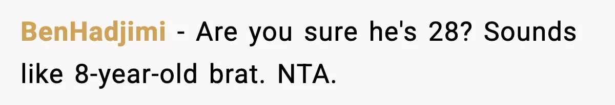 BenHadjimi - Are you sure he's 28? Sounds like 8-year-old brat. NTA.
