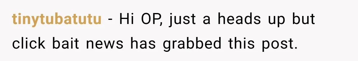 MIL Sends Her A Bill For Christmas, Then Gets Angry When The Internet Takes Her Side tinytubatutu − Hi OP, just a heads up but click bait news has grabbed this post.