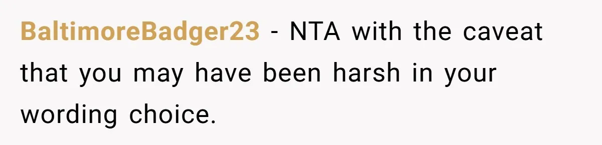 BaltimoreBadger23 − NTA with the caveat that you may have been harsh in your wording choice.