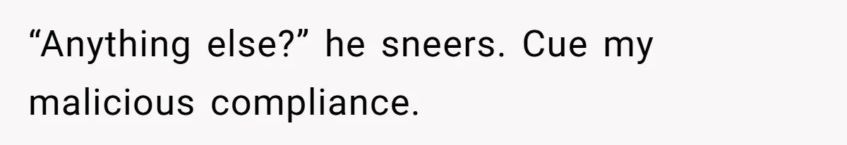 “Anything else?” he sneers. Cue my malicious compliance.