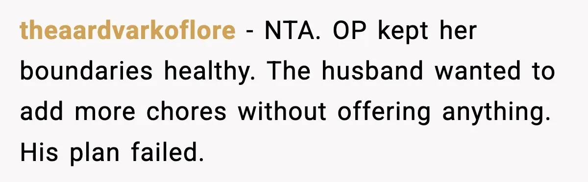 theaardvarkoflore - NTA. OP kept her boundaries healthy. The husband wanted to add more chores without offering anything. His plan failed.
