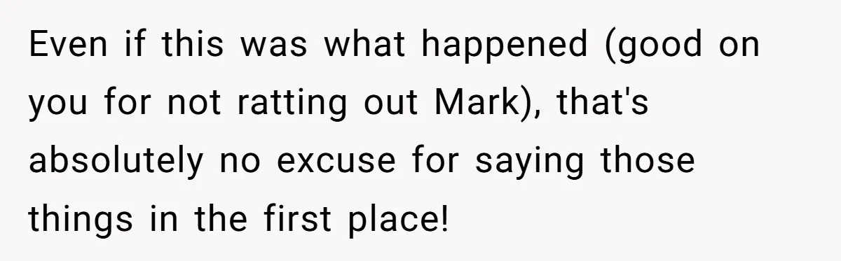 Even if this was what happened (good on you for not ratting out Mark), that's absolutely no excuse for saying those things in the first place!