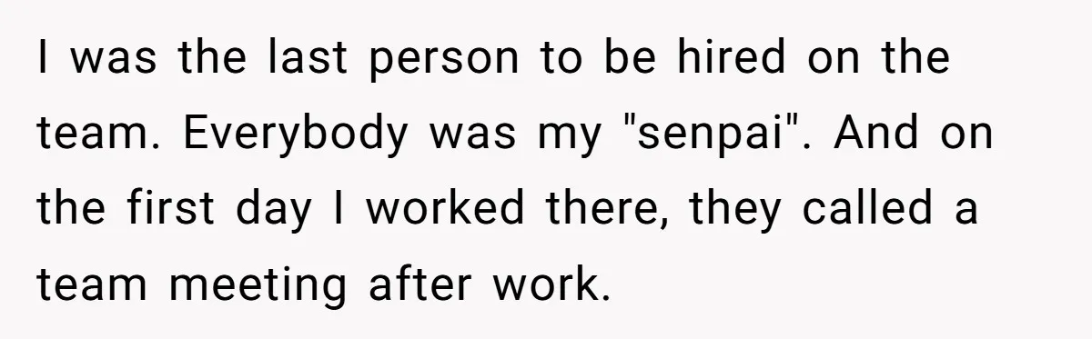 I was the last person to be hired on the team. Everybody was my "senpai". And on the first day I worked there, they called a team meeting after work.