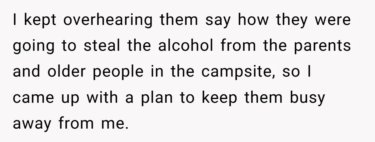 I kept overhearing them say how they were going to steal the alcohol from the parents and older people in the campsite, so I came up with a plan to...