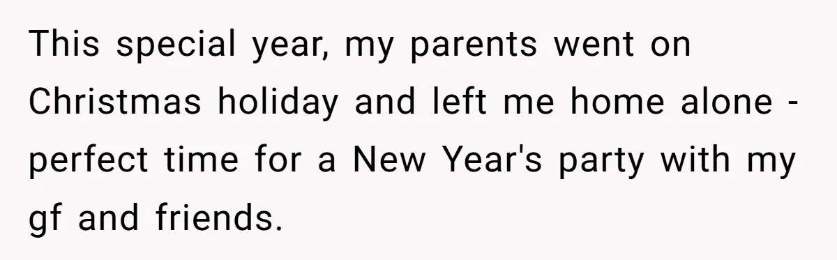 This special year, my parents went on Christmas holiday and left me home alone - perfect time for a New Year's party with my gf and friends.