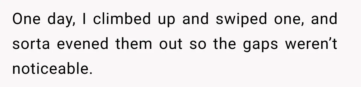 One day, I climbed up and swiped one, and sorta evened them out so the gaps weren’t noticeable.
