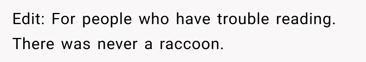 Edit: For people who have trouble reading. There was never a raccoon.