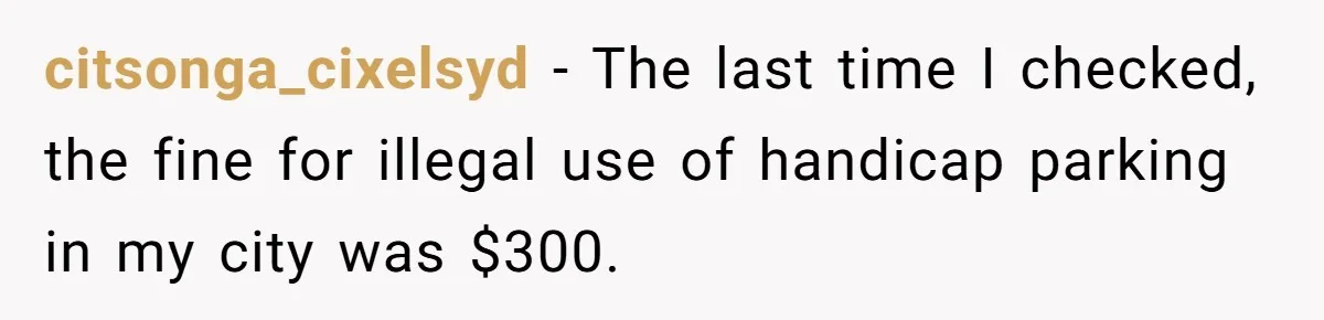 citsonga_cixelsyd − The last time I checked, the fine for illegal use of handicap parking in my city was $300.