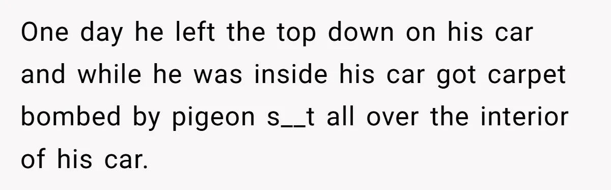 One day he left the top down on his car and while he was inside his car got carpet bombed by pigeon s__t all over the interior of his car.