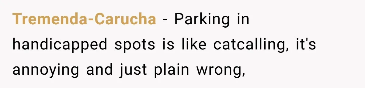 Tremenda-Carucha − Parking in handicapped spots is like catcalling, it's annoying and just plain wrong,