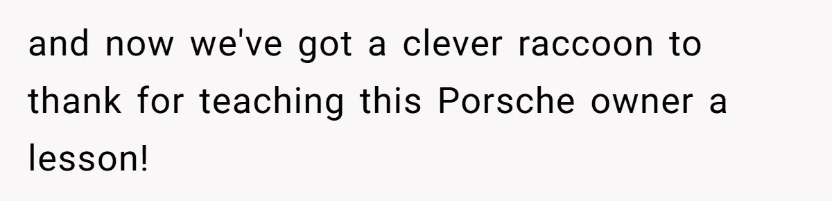 and now we've got a clever raccoon to thank for teaching this Porsche owner a lesson!