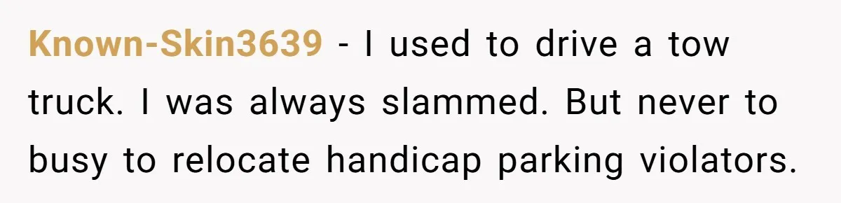 Known-Skin3639 − I used to drive a tow truck. I was always slammed. But never to busy to relocate handicap parking violators.