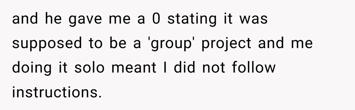 and he gave me a 0 stating it was supposed to be a 'group' project and me doing it solo meant I did not follow instructions.