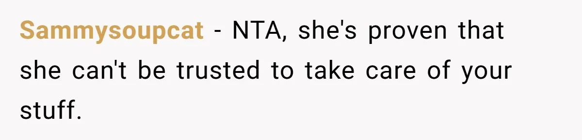 Sammysoupcat − NTA, she's proven that she can't be trusted to take care of your stuff.