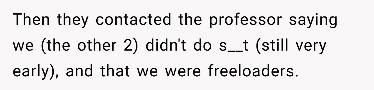 Then they contacted the professor saying we (the other 2) didn't do s__t (still very early), and that we were freeloaders.