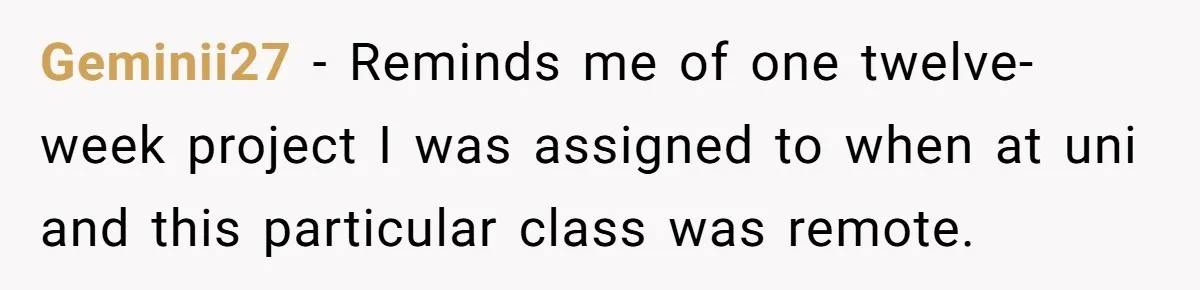 Geminii27 − Reminds me of one twelve-week project I was assigned to when at uni and this particular class was remote.