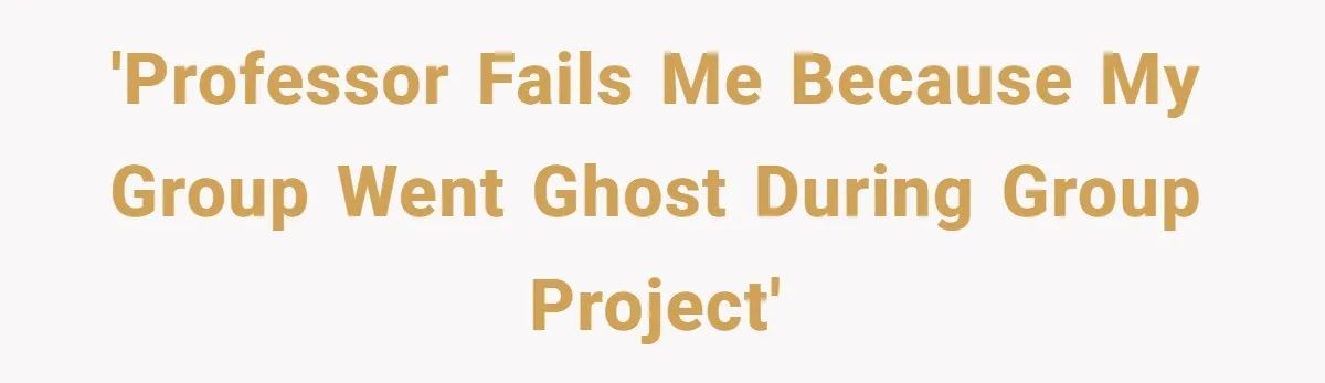 'Professor fails me because my group went ghost during group project'