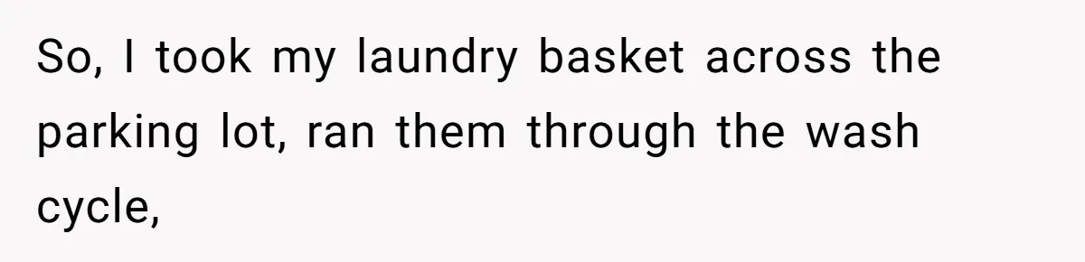 So, I took my laundry basket across the parking lot, ran them through the wash cycle,