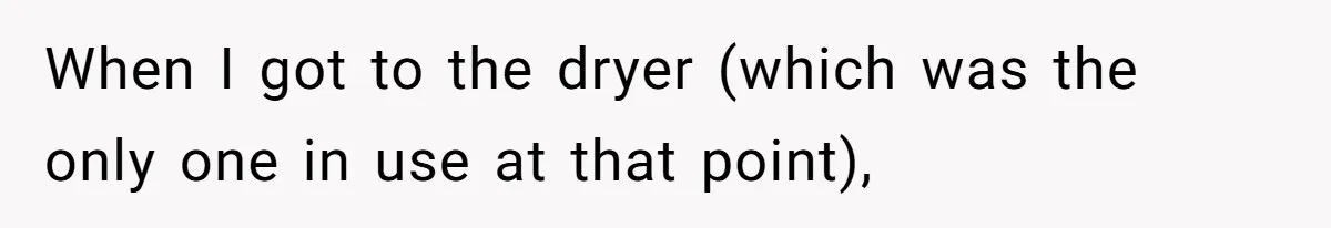 When I got to the dryer (which was the only one in use at that point),