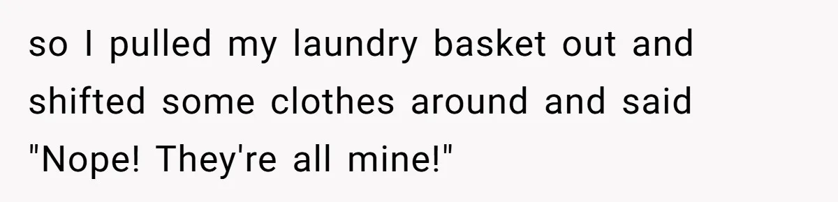 so I pulled my laundry basket out and shifted some clothes around and said "Nope! They're all mine!"