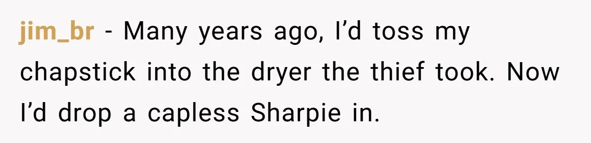jim_br − Many years ago, I’d toss my chapstick into the dryer the thief took. Now I’d drop a capless Sharpie in.
