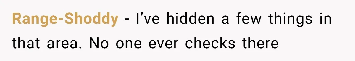 Range-Shoddy − I’ve hidden a few things in that area. No one ever checks there
