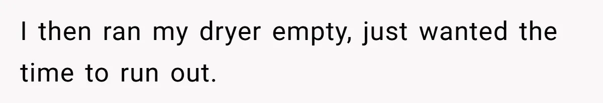 I then ran my dryer empty, just wanted the time to run out.