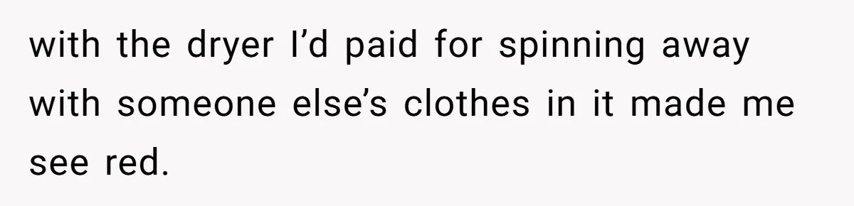 with the dryer I’d paid for spinning away with someone else’s clothes in it made me see red.