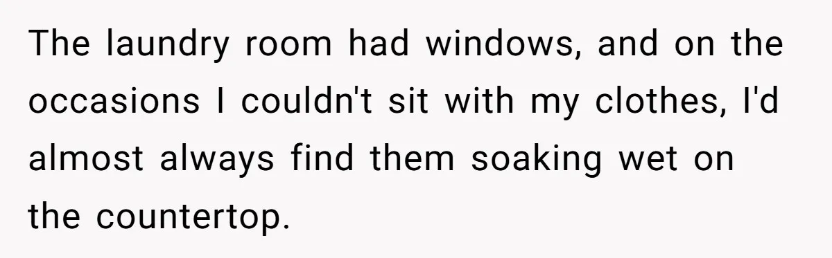 The laundry room had windows, and on the occasions I couldn't sit with my clothes, I'd almost always find them soaking wet on the countertop.
