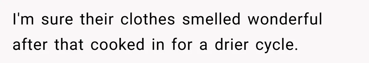 I'm sure their clothes smelled wonderful after that cooked in for a drier cycle.