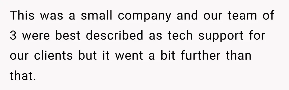 This was a small company and our team of 3 were best described as tech support for our clients but it went a bit further than that.