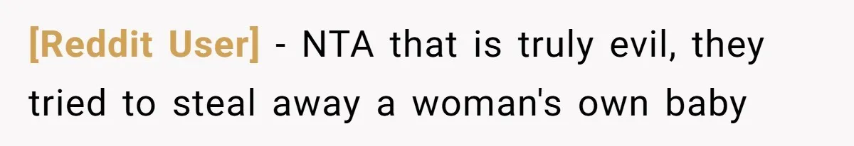 [Reddit User] − NTA that is truly evil, they tried to steal away a woman's own baby