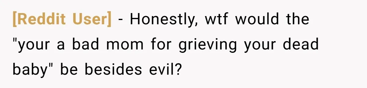 [Reddit User] − Honestly, wtf would the "your a bad mom for grieving your dead baby" be besides evil?