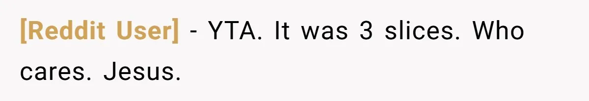 [Reddit User] − YTA. It was 3 slices. Who cares. Jesus.