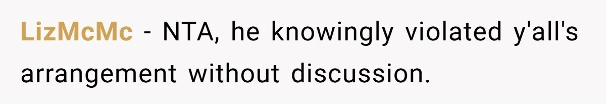 LizMcMc − NTA, he knowingly violated y'all's arrangement without discussion.