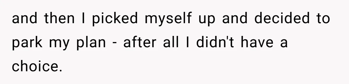 and then I picked myself up and decided to park my plan - after all I didn't have a choice.
