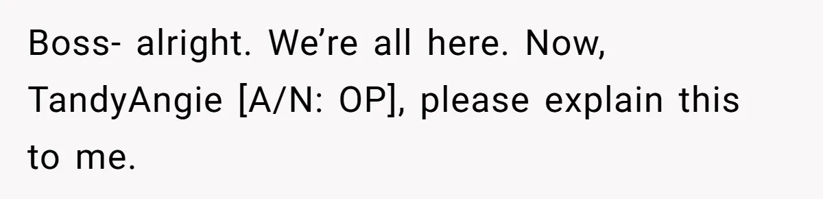 Boss- alright. We’re all here. Now, TandyAngie [A/N: OP], please explain this to me.