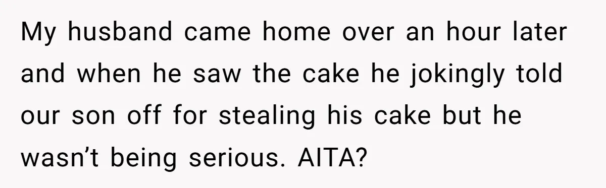 My husband came home over an hour later and when he saw the cake he jokingly told our son off for stealing his cake but he wasn’t being serious. AITA?