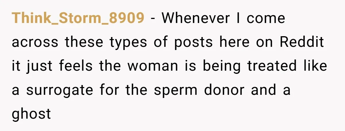 Think_Storm_8909 - Whenever I come across these types of posts here on Reddit it just feels the woman is being treated like a surrogate for the sperm donor and a...