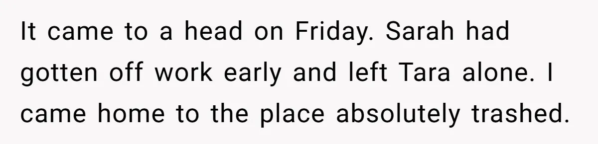 It came to a head on Friday. Sarah had gotten off work early and left Tara alone. I came home to the place absolutely trashed.