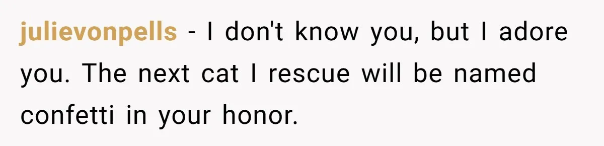 julievonpells − I don't know you, but I adore you. The next cat I rescue will be named confetti in your honor.