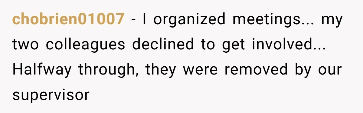 chobrien01007 - I organized meetings... my two colleagues declined to get involved... Halfway through, they were removed by our supervisor