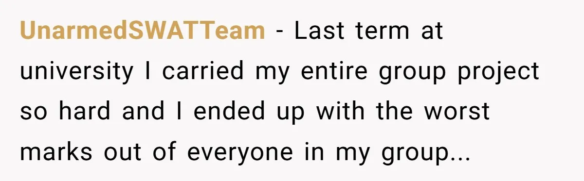 UnarmedSWATTeam - Last term at university I carried my entire group project so hard and I ended up with the worst marks out of everyone in my group...