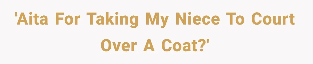 'AITA for taking my niece to court over a coat?'