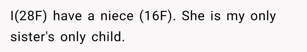 I(28F) have a niece (16F). She is my only sister's only child.