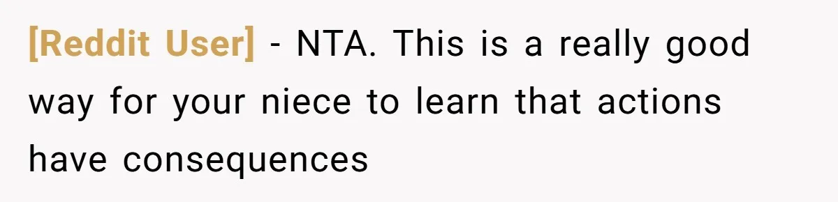 [Reddit User] − NTA. This is a really good way for your niece to learn that actions have consequences