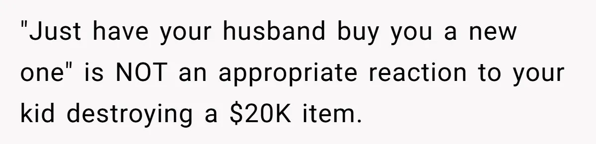 "Just have your husband buy you a new one" is NOT an appropriate reaction to your kid destroying a $20K item.