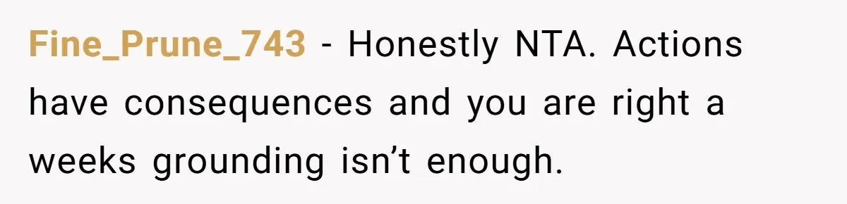 Fine_Prune_743 − Honestly NTA. Actions have consequences and you are right a weeks grounding isn’t enough.