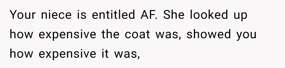 Your niece is entitled AF. She looked up how expensive the coat was, showed you how expensive it was,