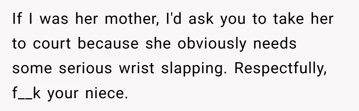 If I was her mother, I'd ask you to take her to court because she obviously needs some serious wrist slapping. Respectfully, f__k your niece.